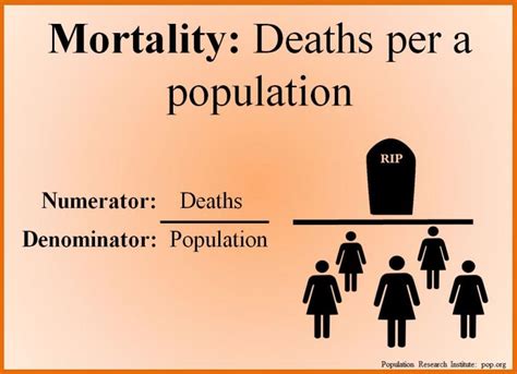 The Curse of Mortality: How Fear of Death Shapes Human Behavior